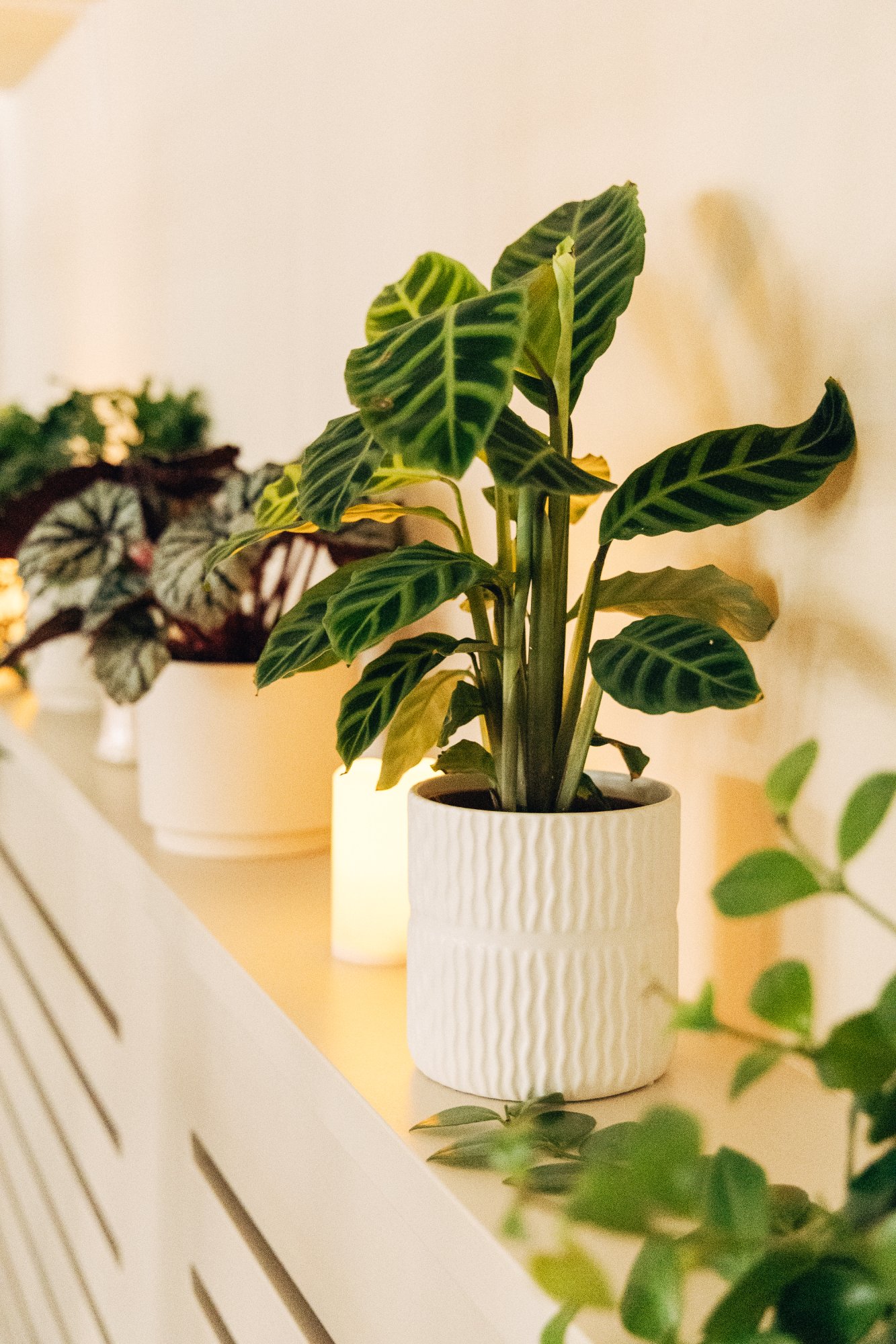 Red and Red studio Pilates and coffee