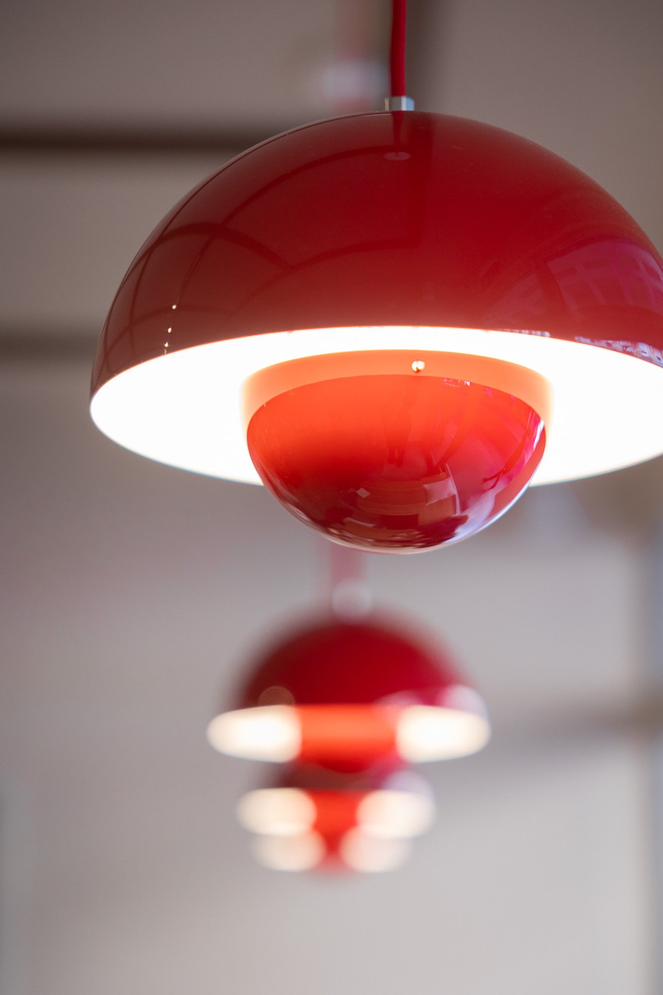 Red and Red team member